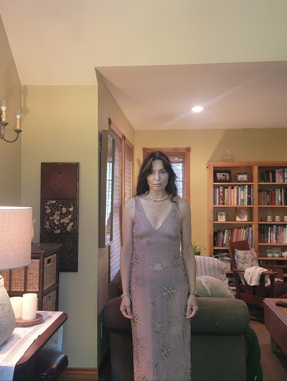 Zara Blush Beaded Mesh Dress